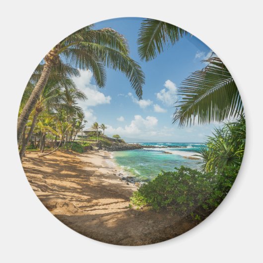 クーコーブビーチ |マウイ，ハワイ マグネット (正面)