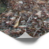 クーズアガベ～プリント～ ポスター (角)