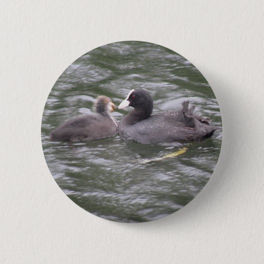 クート食べ物を与えの空腹ヒックボタン 缶バッジ (正面)