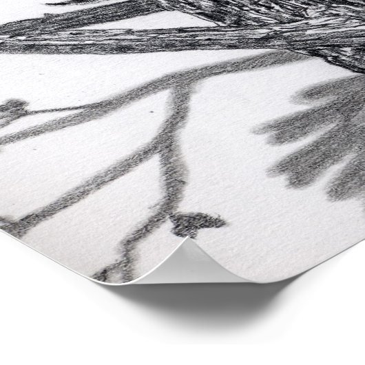 クーニー ポスター (角)