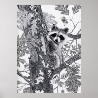 クーニー ポスター