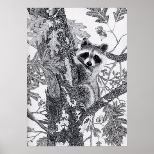 クーニー ポスター (正面)