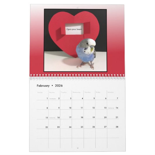 クーパーのコーナー カレンダー 2026 (2月 2026)