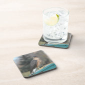 クーパースホーク コースター (右側)