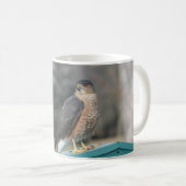 クーパースホーク コーヒーマグカップ (正面右)