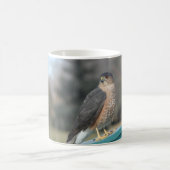 クーパースホーク コーヒーマグカップ (中央)