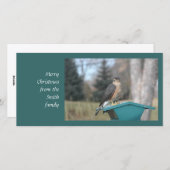 クーパースホーク シーズンカード (正面/裏面)