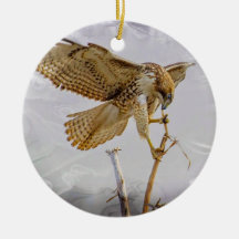 クーパースホーク