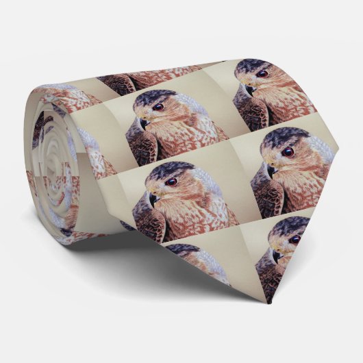 クーパースホーク ネクタイ (ロール)