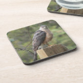 クーパーズホークコースター コースター (左側)