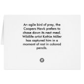 クーパーズホークポートレート (裏面横)