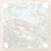 クーパーズホーク ガラスコースター (裏面)