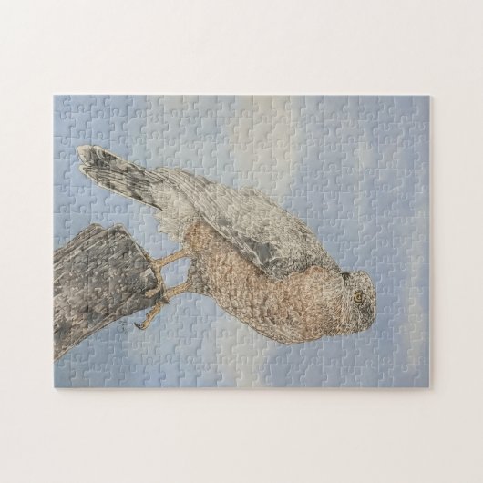 クーパーズホーク ジグソーパズル (横)