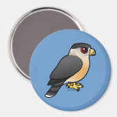 クーパーズホーク マグネット (正面/裏面)