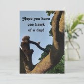 クーパーホークウェルウィッシュカード (スタンド正面)