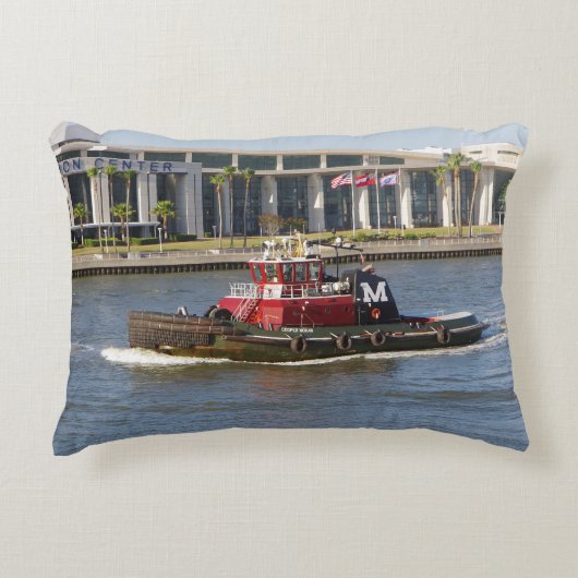 クーパーモラン訛りの枕 アクセントクッション (正面)