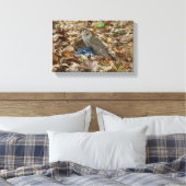 クーパー・ホークと獲物 キャンバスプリント (インサイチュ (寝室))