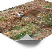 クーパー ポスター (角)