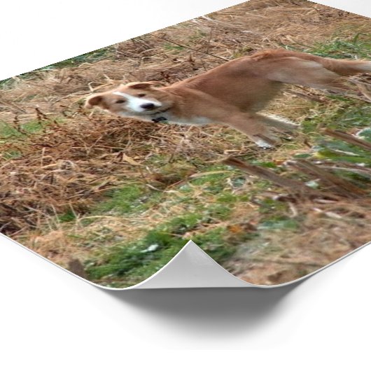 クーパー ポスター (角)