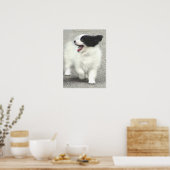 クーパー ポスター (キッチン)