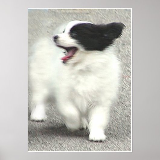 クーパー ポスター (正面)