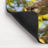 クーパー(Cooper)のタカ マウスパッド (コーナー)