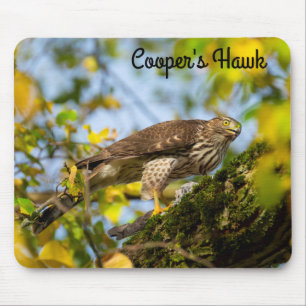 クーパー(Cooper)のタカ マウスパッド
