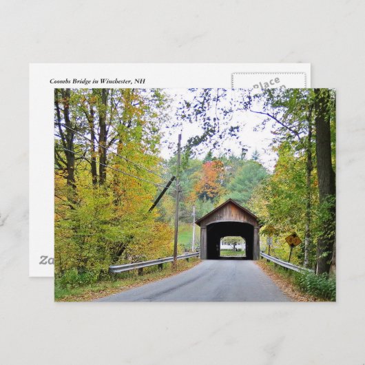 クームスが木々の間の橋を覆った ポストカード (正面/裏面)