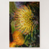 クーラのイエローピンクッション ジグソーパズル (縦)