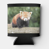 クーラーボックス写真レッドパンダ、動物0001。 缶クーラー (正面)