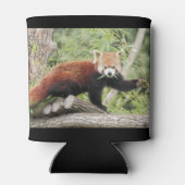 クーラーボックス写真レッドパンダ、動物0001。 缶クーラー (裏面)