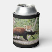 クーラーボックス写真レッドパンダ、動物0069。 缶クーラー (缶正面)