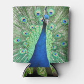 クーラーボックス – ピーコックポートレート 缶クーラー (正面)