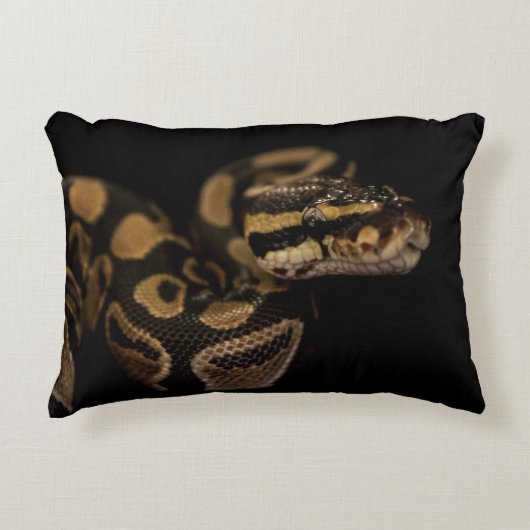 クールで粋なヘビ アクセントクッション (正面)
