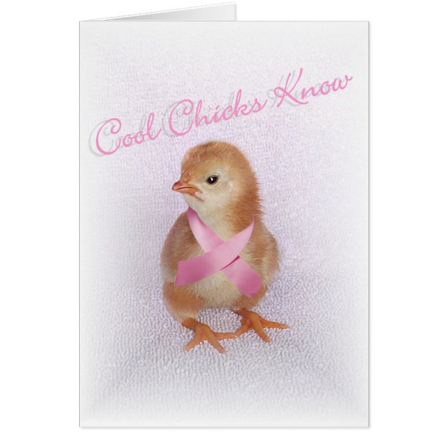 クールなひよこは知っています (正面)