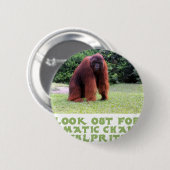 クールなオランウータンのデザイン 缶バッジ (正面&裏面)