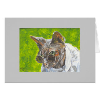 クールなデボン