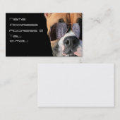 クールなボクサー犬の名刺 名刺 (正面/裏面)