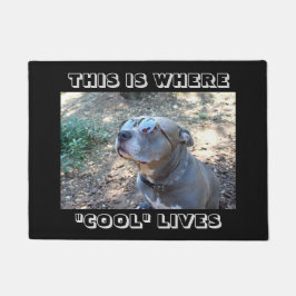 クールな人々のカッコいい犬の玄関マット ドアマット