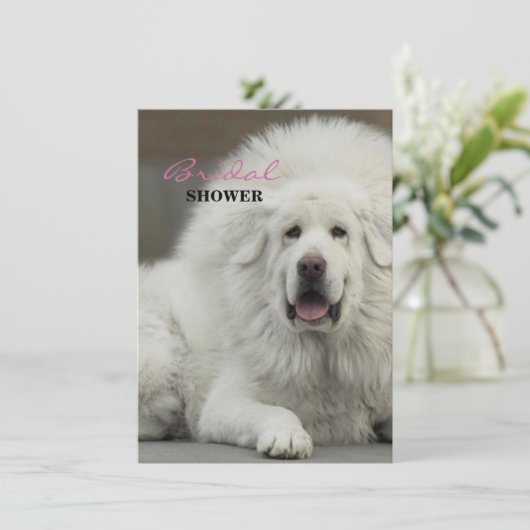 クールな犬の恋人のチベタン・マスティフ 招待状 (スタンド正面)