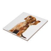 クールな犬 タイル (側面)