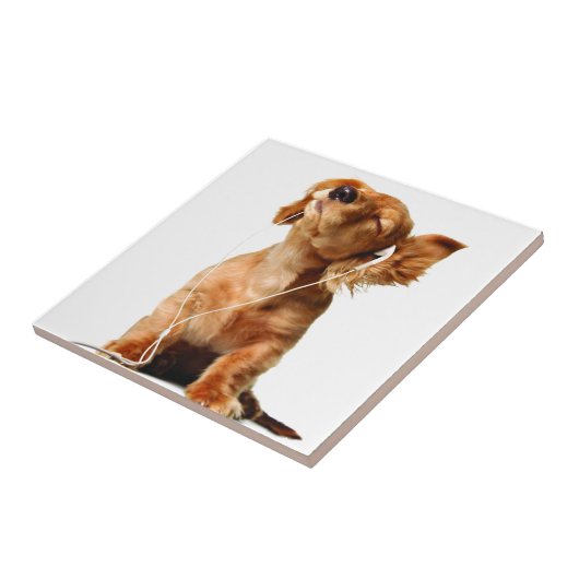 クールな犬 タイル (側面)