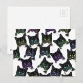 クールな猫たち ポストカード (正面/裏面)