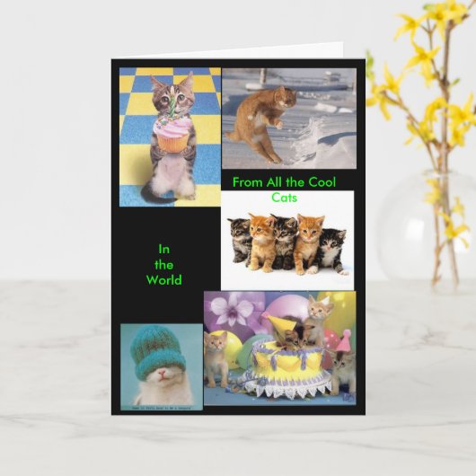 クールな猫カード カード (黄色い花)