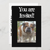 クールな英国のブルドッグの招待状の誕生日かOc 招待状 (正面/裏面)