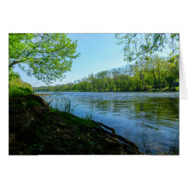 クールなCreekside