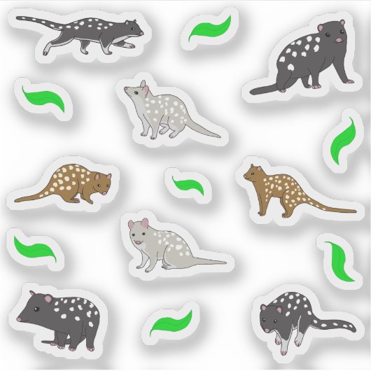 クールズ シール (正面)