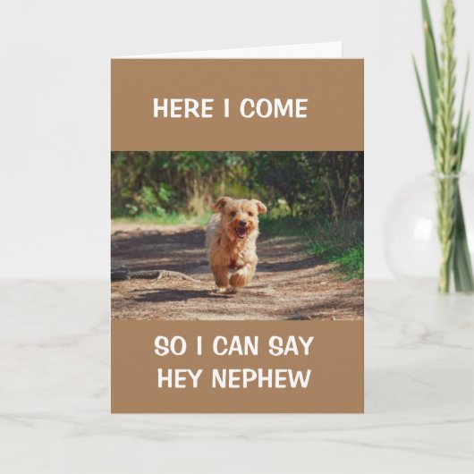 *クールハッピーバースデーランニング甥が**言う犬 カード (正面)