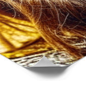 クールミュージカルフェスティバル ポスター (角)