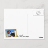 クールロサンゼルス/エンデバーはがき！ ポストカード (裏面)